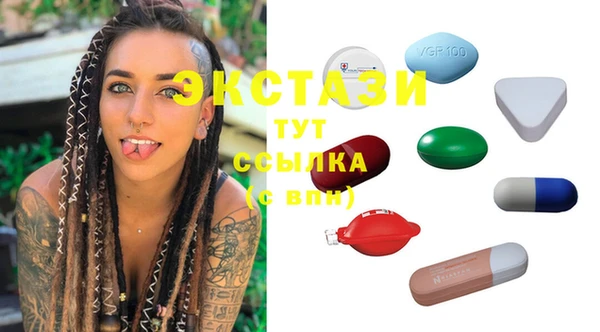тгк Ельня