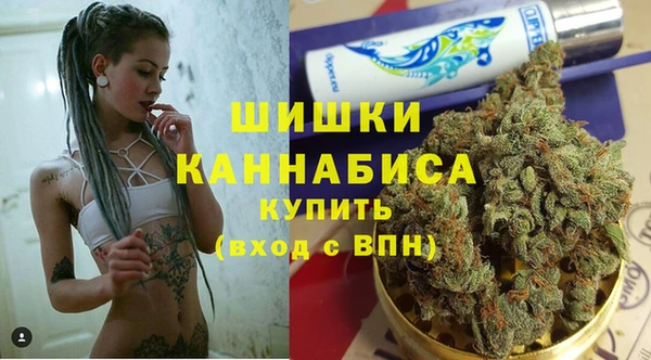 альфа пвп Елизово