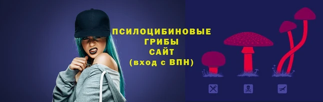 сатива Щучье
