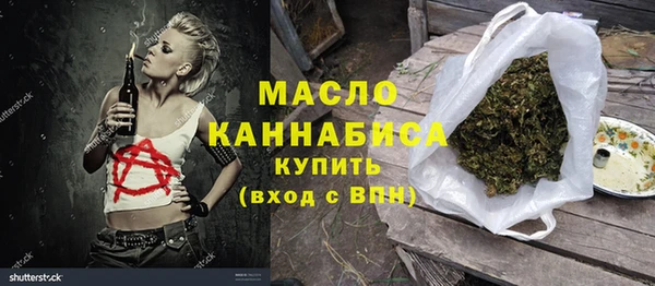 тгк Ельня