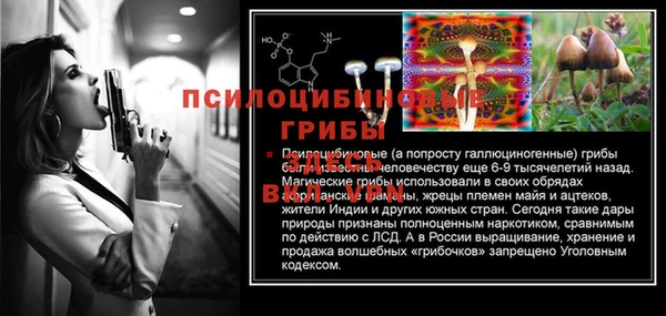 тгк Ельня