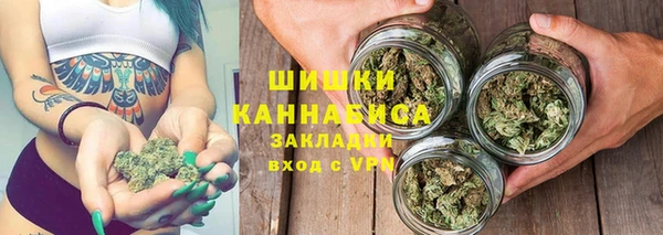 тгк Ельня