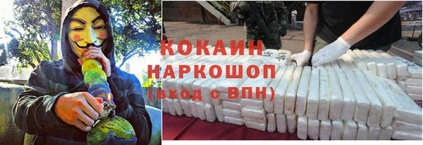 тгк Ельня