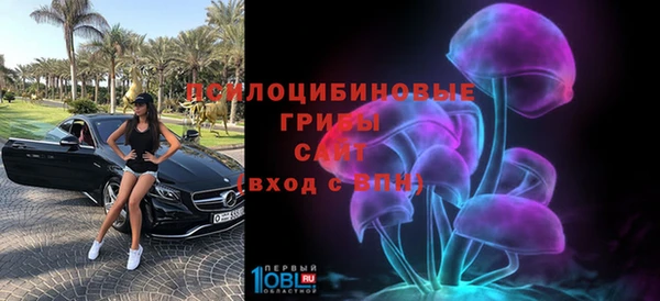 тгк Ельня