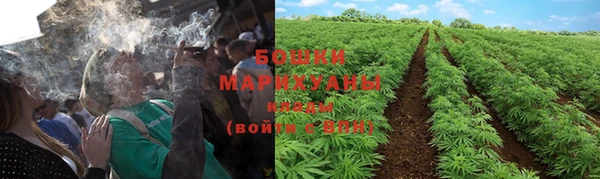 тгк Ельня