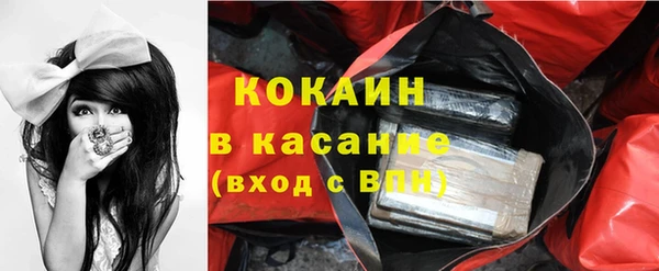 тгк Ельня