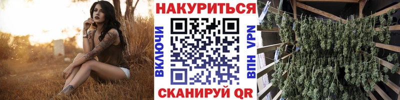 Канабис планчик MEGA ТОР Пикалёво